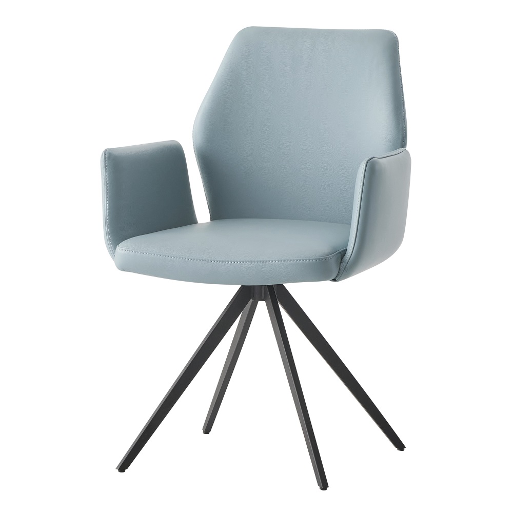 Segismunda Arm Chair W/Swivel